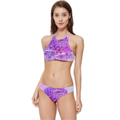 Dahlia Blossom Bloom Dahlias Fall Banded Triangle Bikini Set by danenraven