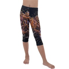 Sea Anemone Coral Underwater Ocean Sea Water Kids  Lightweight Velour Capri Leggings  by pakminggu