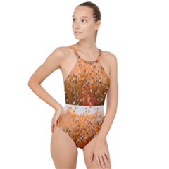 Late Afternoon High Neck One Piece Swimsuit