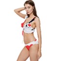 I love watermelon  Low Cut Ruffle Edge Bikini Set View2