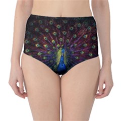 Peacock Feathers Classic High-waist Bikini Bottoms by Wav3s