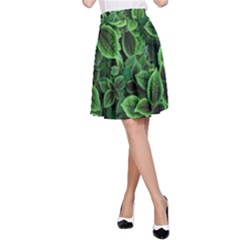 Shanghai Botanical Garden A-line Skirt by Cowasu