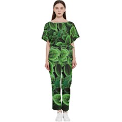 Shanghai Botanical Garden Batwing Lightweight Chiffon Jumpsuit by Cowasu