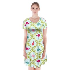 Birds-pattern-background Short Sleeve V-neck Flare Dress