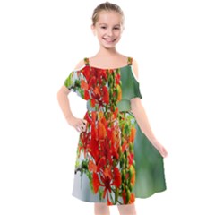 Gathering Sping Flowers Wallpapers Kids  Cut Out Shoulders Chiffon Dress