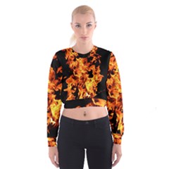 Live Coals Cropped Sweatshirt