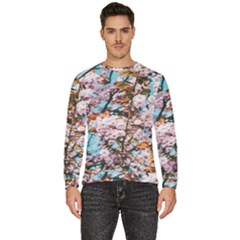 Nature Beautiful Rainbow Men s Fleece Sweatshirt by artworkshop