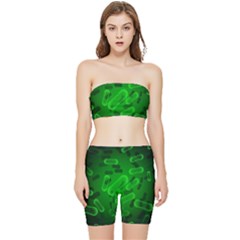 Green-rod-shaped-bacteria Stretch Shorts And Tube Top Set