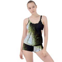 Branch Plant Shrub Green Natural Boyleg Tankini Set  by Grandong