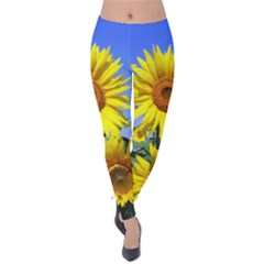 Sunflower Gift Velvet Leggings