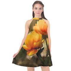 Yellow Butterfly Flower Halter Neckline Chiffon Dress 