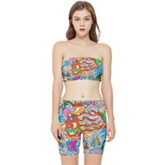 Supersonic Mermaid Chaser Stretch Shorts And Tube Top Set