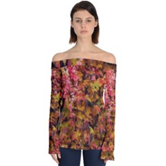 Red And Yellow Ivy  Off Shoulder Long Sleeve Top by okhismakingart