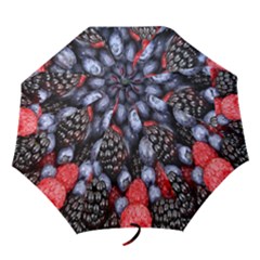 Berries-01 Folding Umbrellas by nateshop