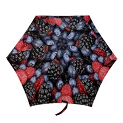 Berries-01 Mini Folding Umbrellas by nateshop