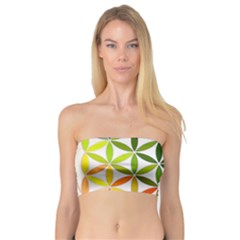 Mandala Rainbow Colorful Bandeau Top by Bedest