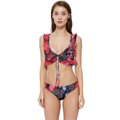 Berries-01 Low Cut Ruffle Edge Bikini Set by nateshop