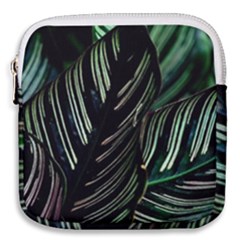 Calathea Leaves Strippe Line Mini Square Pouch