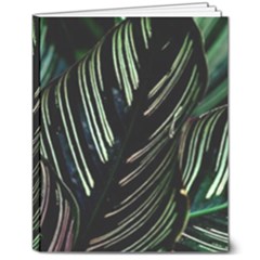 Calathea Leaves Strippe Line 8  X 10  Hardcover Notebook