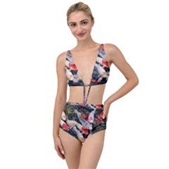 Koi Fish Nature Tied Up Two Piece Swimsuit