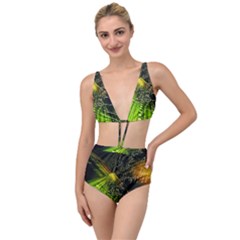 Machine Technology Circuit Electronic Computer Technics Detail Psychedelic Abstract Pattern Tied Up Two Piece Swimsuit by Sarkoni