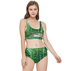 Bamboo Forest Squid Family Frilly Bikini Set by Grandong