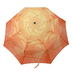 Abstract Texture Of Colorful Bright Pattern Transparent Leaves Orange And Yellow Color Folding Umbrellas by Grandong