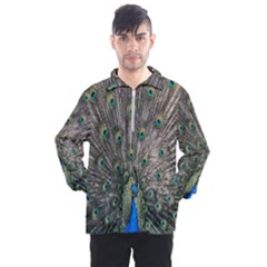 Peacock-feathers1 Men s Half Zip Pullover by nateshop