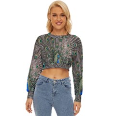 Peacock-feathers1 Lightweight Long Sleeve Sweatshirt by nateshop