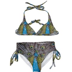 Peacock-feathers2 Kids  Classic Bikini Set by nateshop