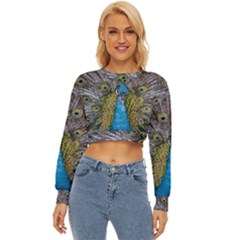 Peacock-feathers2 Lightweight Long Sleeve Sweatshirt by nateshop