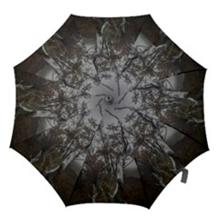 Nature s Resilience: Tierra Del Fuego Forest, Argentina Hook Handle Umbrellas (large) by dflcprintsclothing