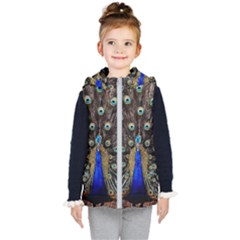 Peacock Kids  Hooded Puffer Vest by Ket1n9