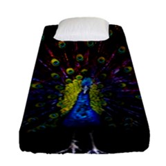 Beautiful Peacock Feather Fitted Sheet (single Size) by Ket1n9