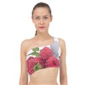 Fruit-healthy-vitamin-vegan Spliced Up Bikini Top  View1