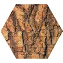 Bark Texture Wood Large Rough Red Wood Outside California Wooden Puzzle Hexagon View1