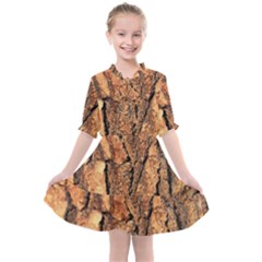 Bark Texture Wood Large Rough Red Wood Outside California Kids  All Frills Chiffon Dress by Ket1n9