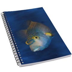 Fish Blue Animal Water Nature 5 5  X 8 5  Notebook by Amaryn4rt