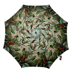 Humming Birds Trochilidae Hook Handle Umbrellas (large) by Pakjumat