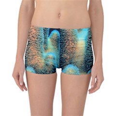 Photo Coral Great Scleractinia Reversible Boyleg Bikini Bottoms by Pakjumat