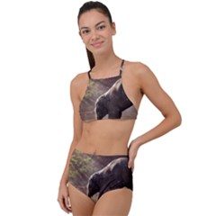 Baby Elephant Watering Hole Halter Tankini Set by Sarkoni