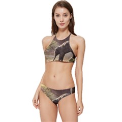 Baby Elephant Watering Hole Banded Triangle Bikini Set by Sarkoni