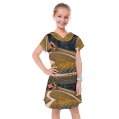 Vineyard Agriculture Farm Autumn Kids  Drop Waist Dress by Sarkoni