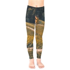 Vineyard Agriculture Farm Autumn Kids  Leggings by Sarkoni