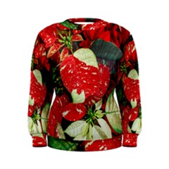 Poinsettia Christmas Star Plant Women s Sweatshirt