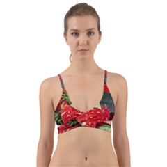 Poinsettia Christmas Star Plant Wrap Around Bikini Top by Sarkoni