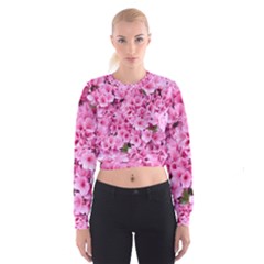 Beautiful Tree Flowers Cropped Sweatshirt by 1212