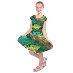 Peacock Bass Fishing Kids  Short Sleeve Dress by Sarkoni