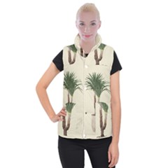 Tree Vector Art In A Flower Pot Women s Button Up Vest by Sarkoni