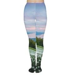 Field Of White Petaled Flowers Nature Landscape Tights by Sarkoni